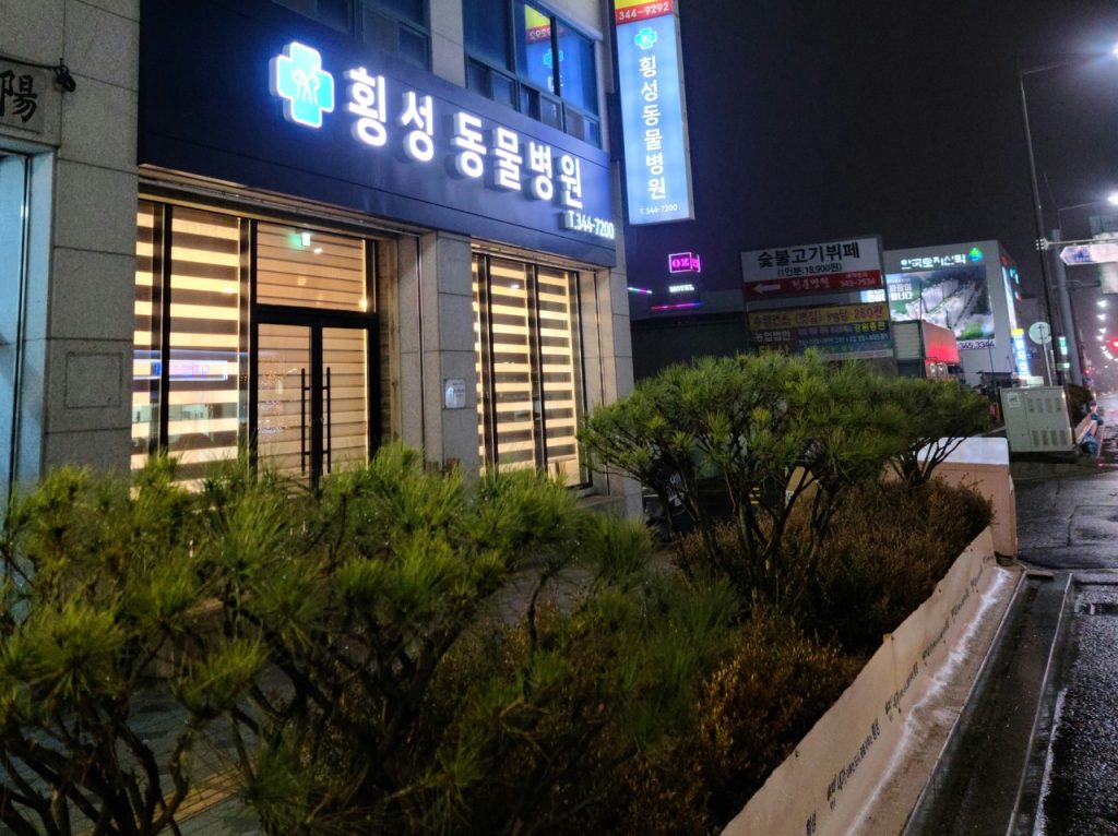 횡성동물병원 사진 1