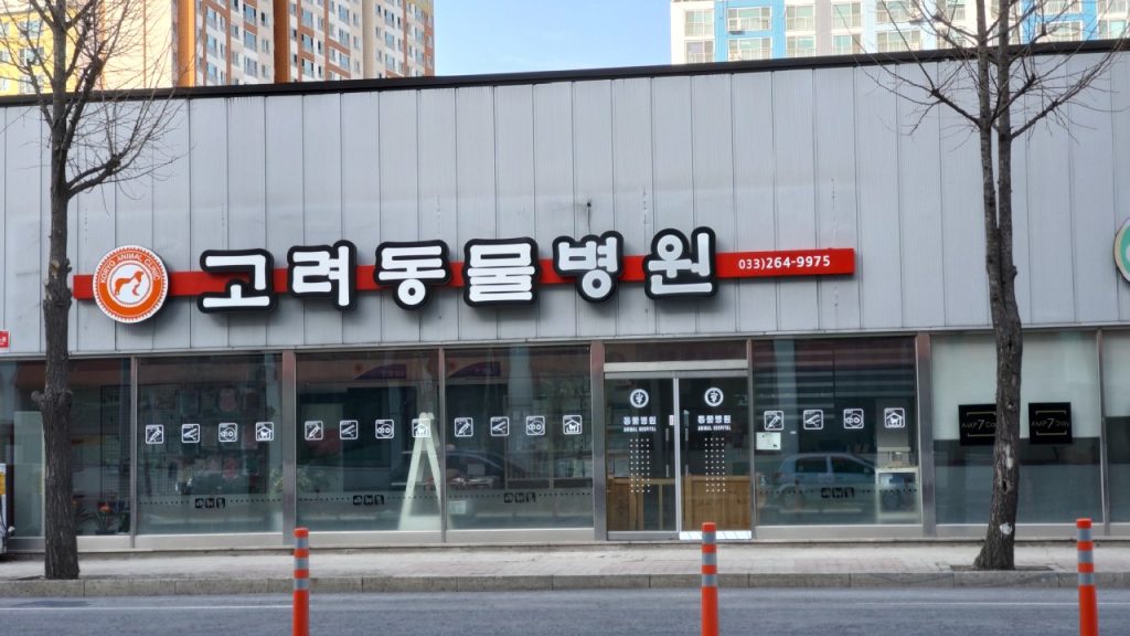 고려동물병원 사진 1