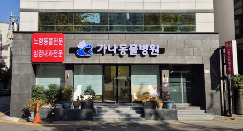 가나동물병원 사진 1