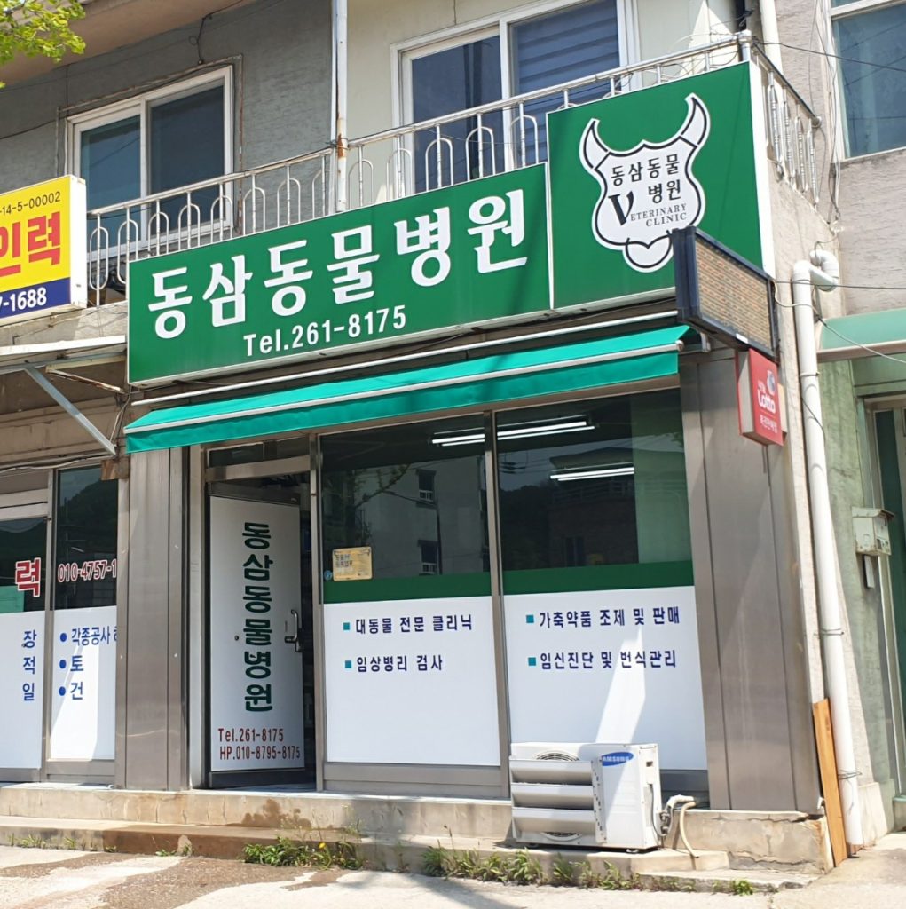 동삼동물병원 사진 1
