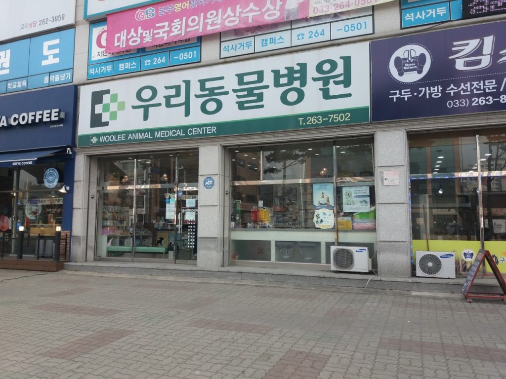 우리동물병원 사진 1