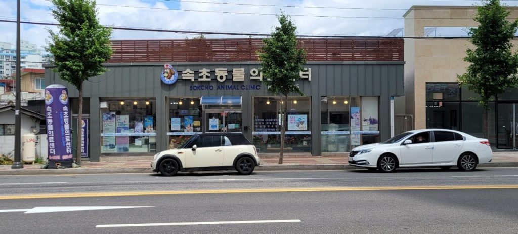 속초동물의료센터 사진 1