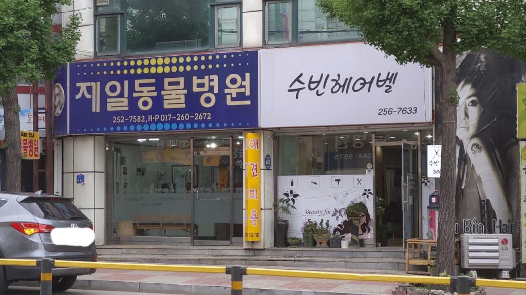 제일동물병원 사진 1