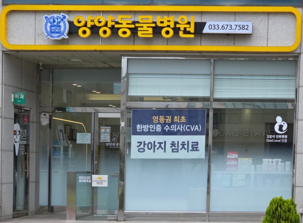 양양동물병원 사진 1