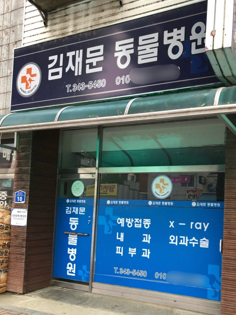 김재문동물병원 사진 1