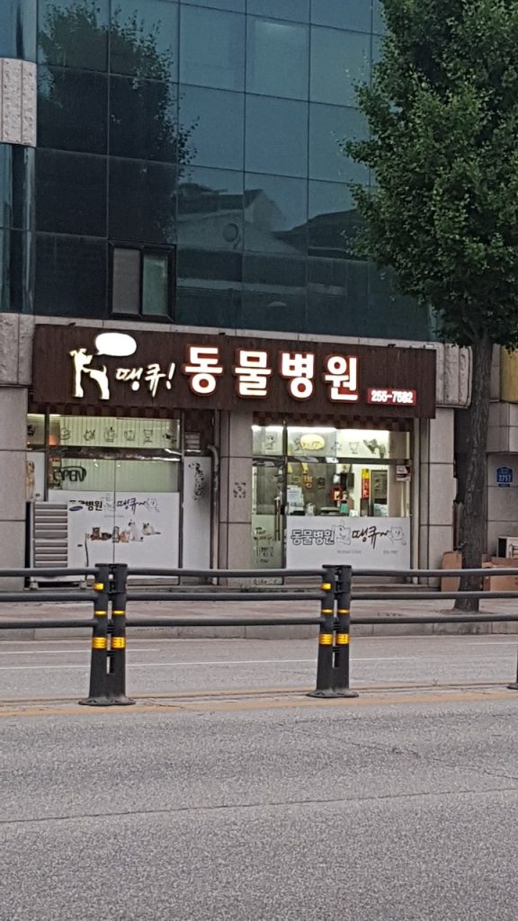 땡큐동물병원 사진 1