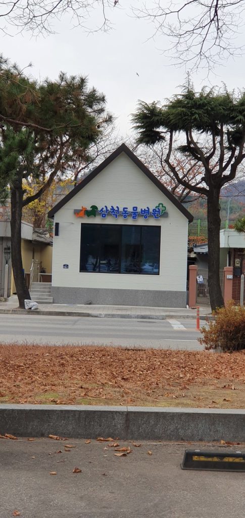 삼척동물병원 사진 1