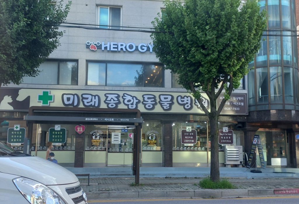 미래종합동물병원 사진 1