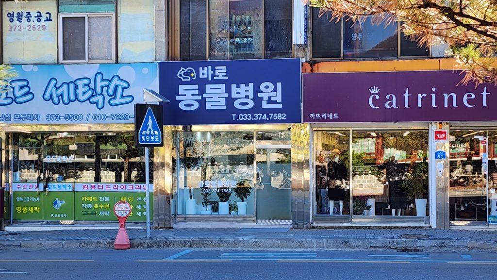 바로동물병원 사진 1