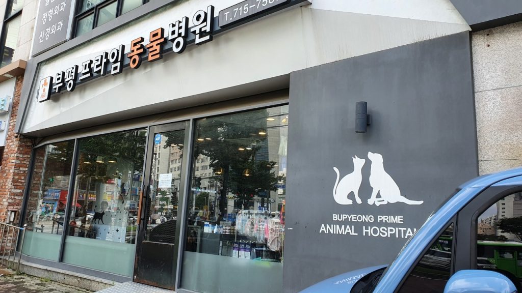 부평프라임동물병원 사진 1