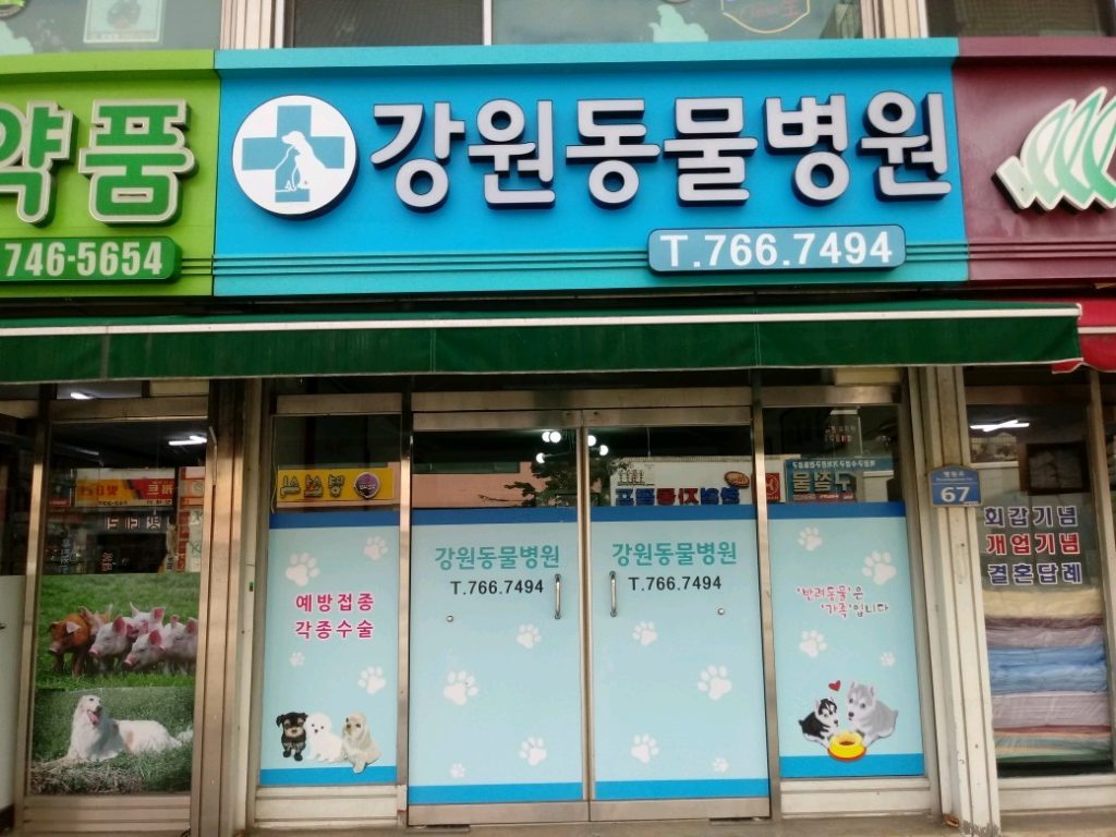 강원동물병원 사진 1