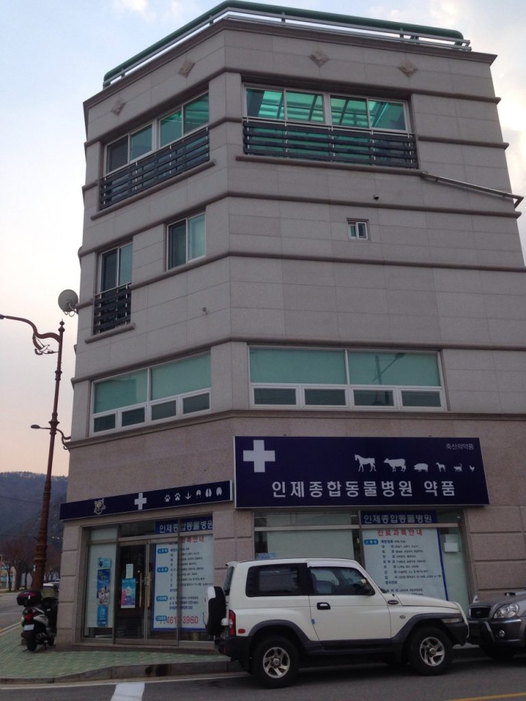 인제종합동물병원 사진 1