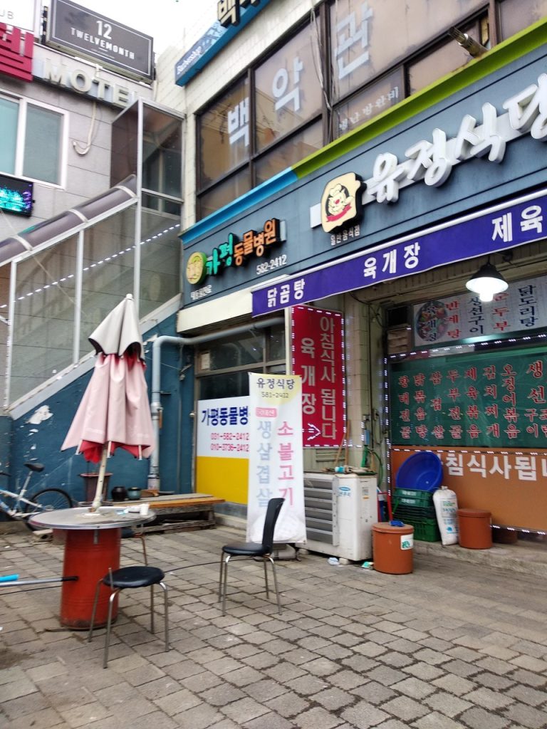 가평동물병원 사진 1