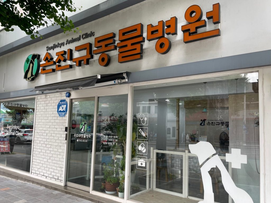 손진규동물병원 사진 1