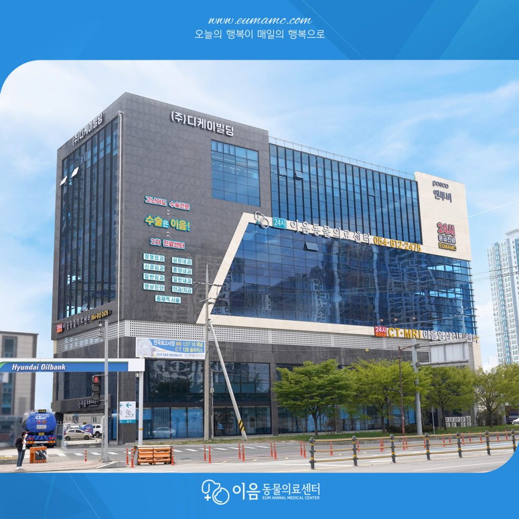 24시포항이음동물의료센터 사진 1
