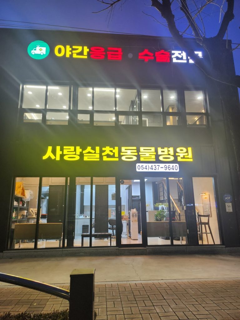 사랑실천동물병원 사진 1