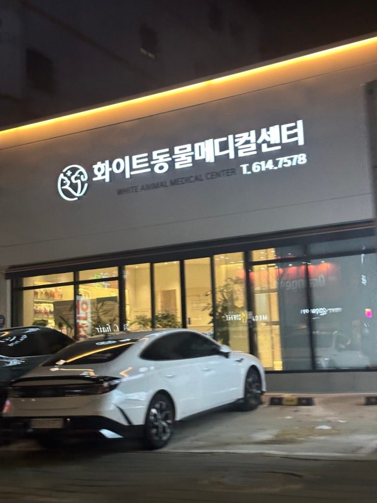 24시 화이트동물메디컬센터 사진 1