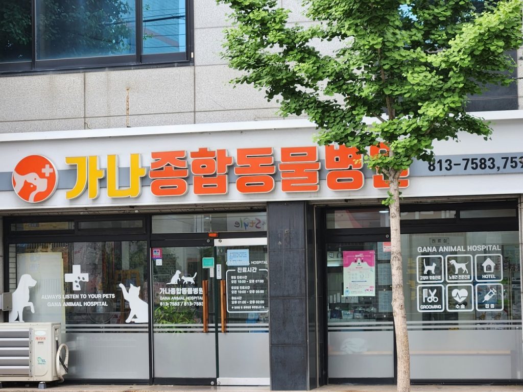 가나종합동물병원 사진 1