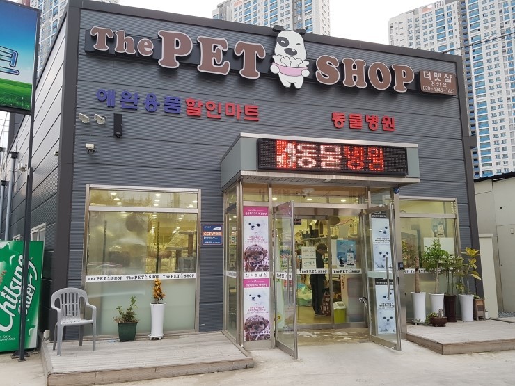 더샵동물병원 사진 1
