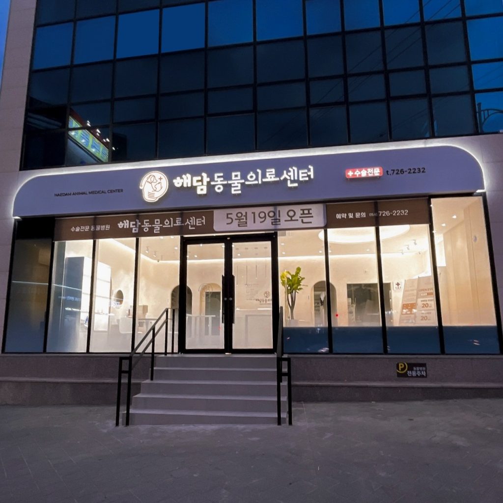 해담동물의료센터 사진 1