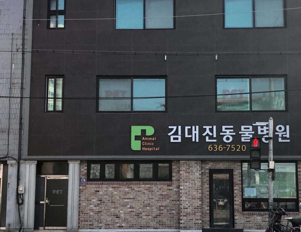 김대진동물병원 사진 1