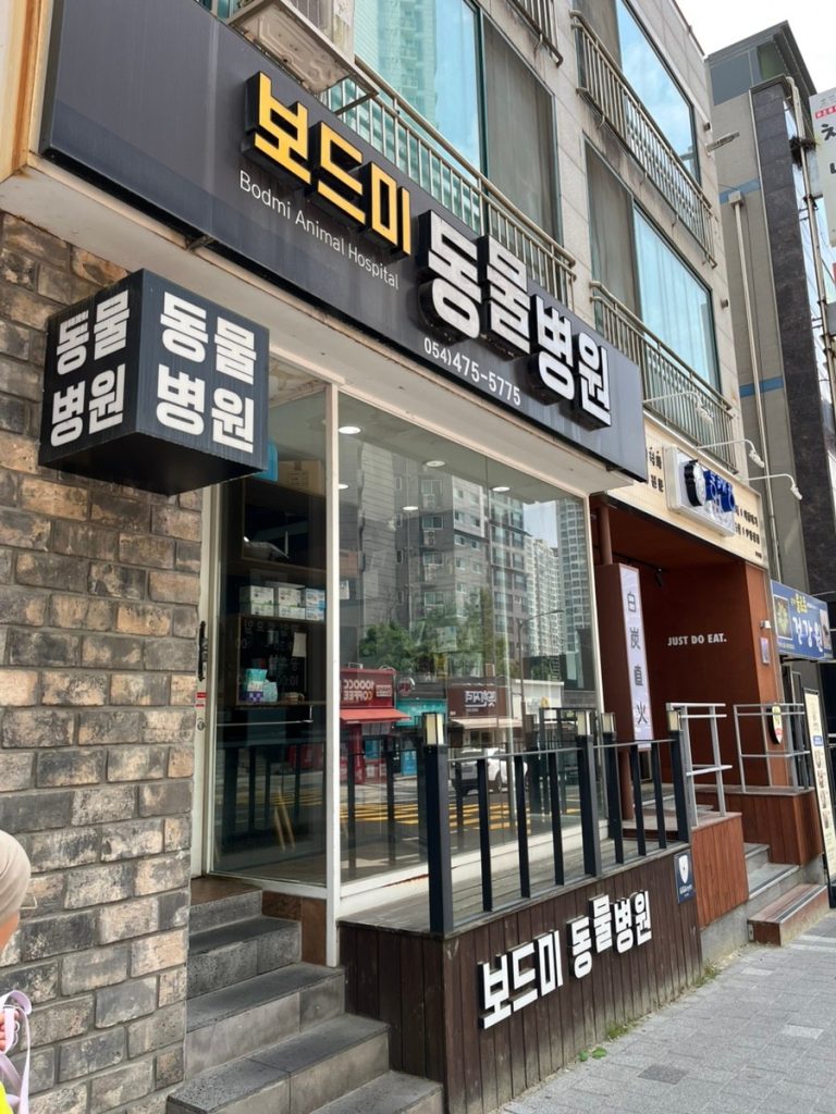 옥계 보드미 동물병원 사진 1