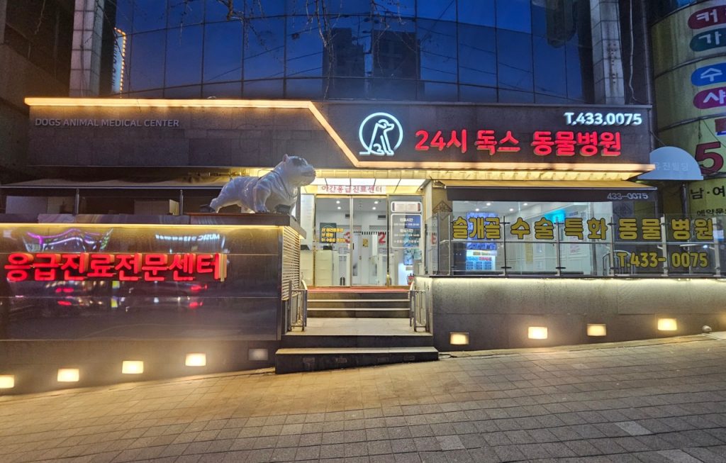 24시독스동물병원 사진 1