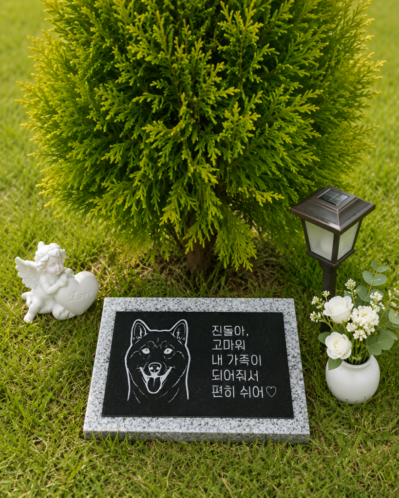 퍼스트펫 사진 1