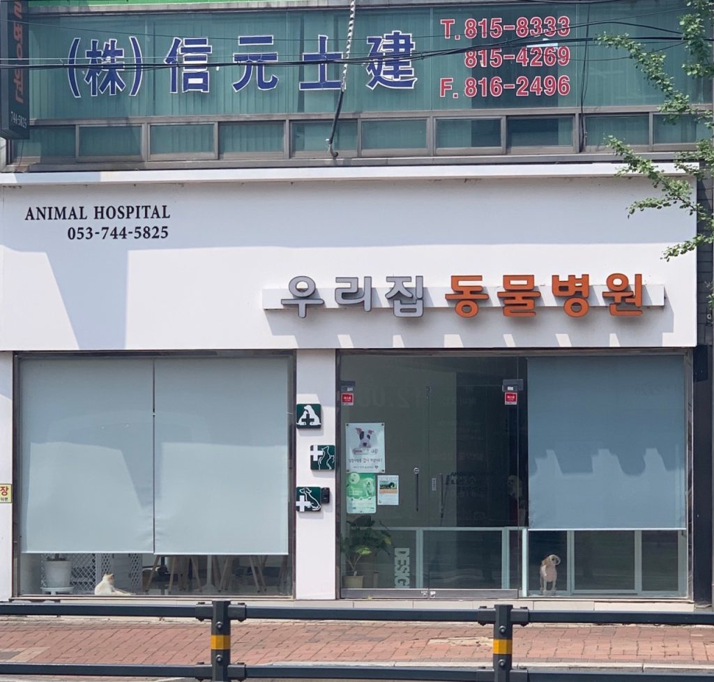 우리집동물병원 사진 1