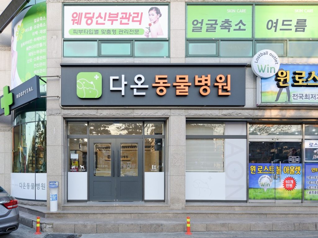 다온동물병원 사진 1