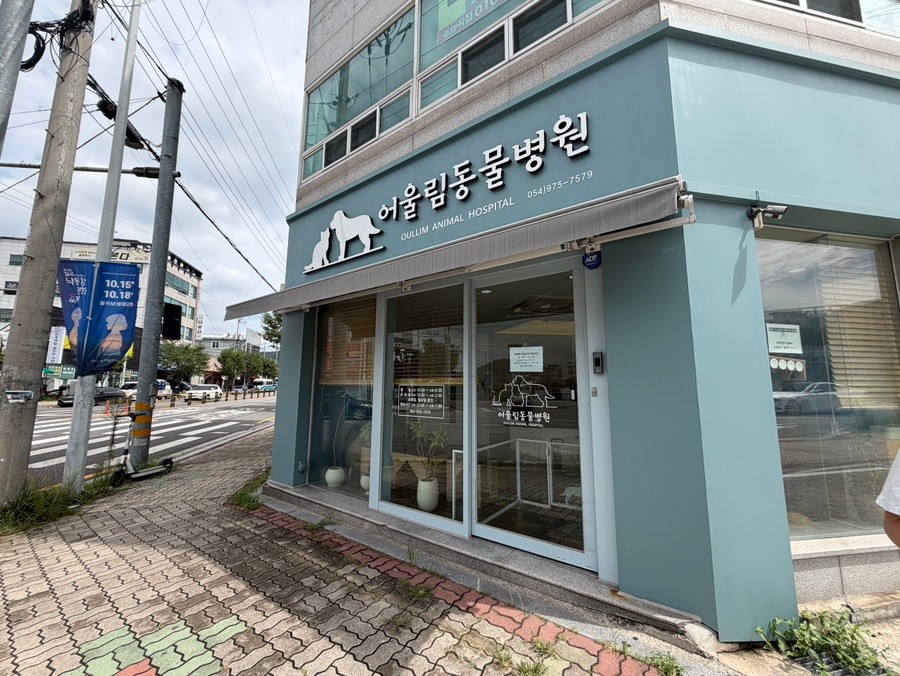 어울림동물병원 사진 1