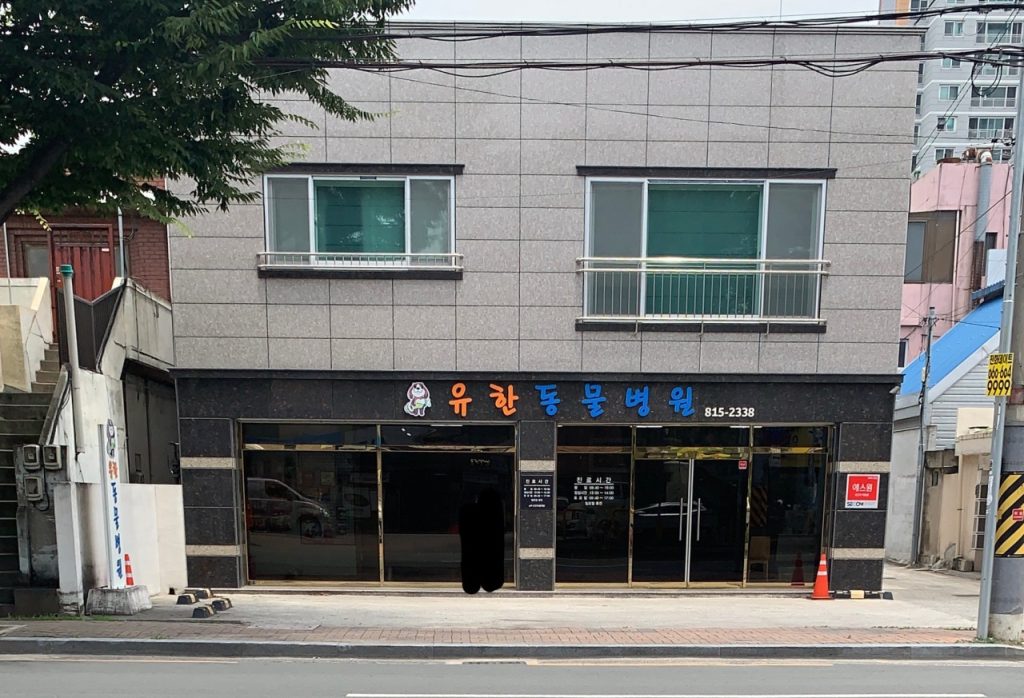 유한동물병원 사진 1