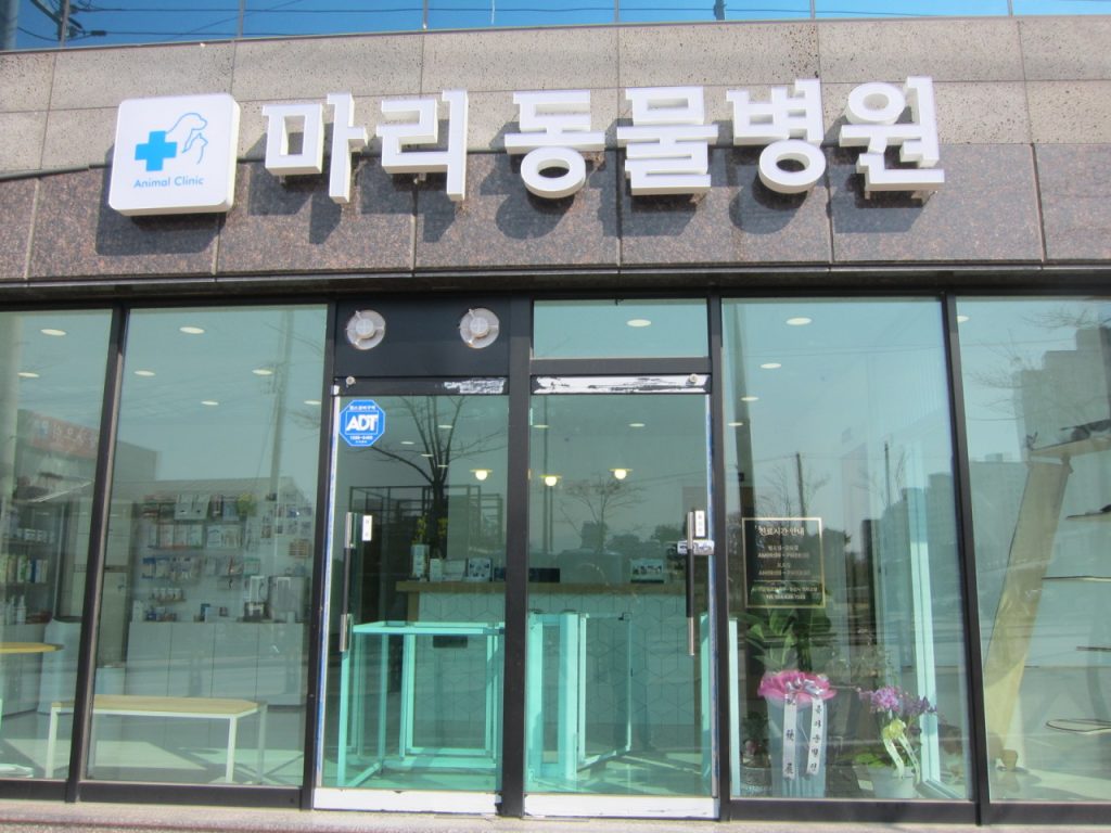 마리동물병원 사진 1