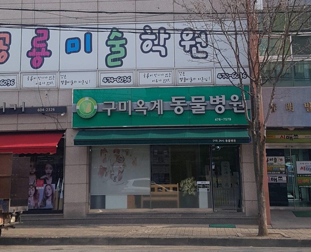 구미옥계동물병원 사진 1