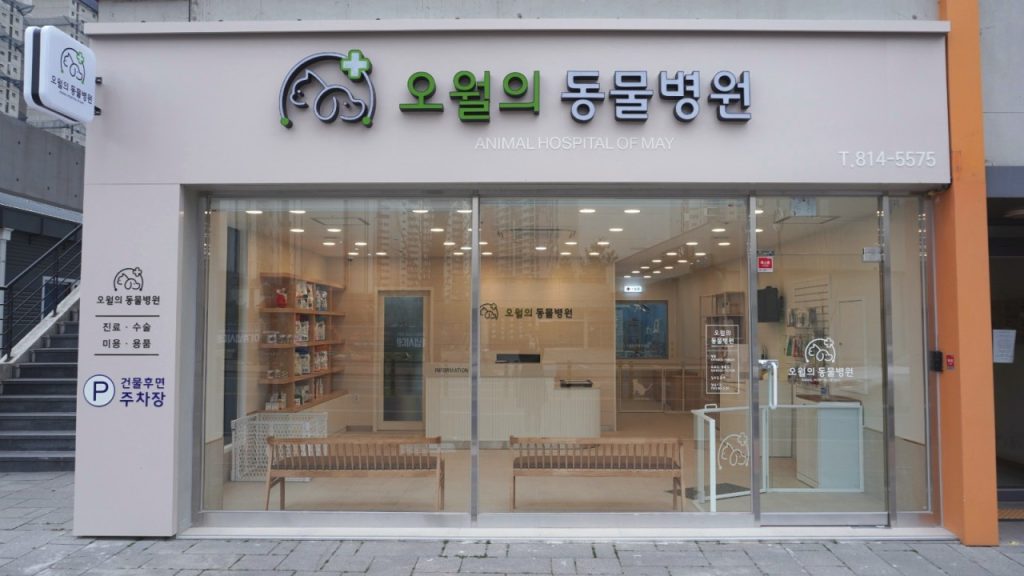 오월의동물병원 사진 1
