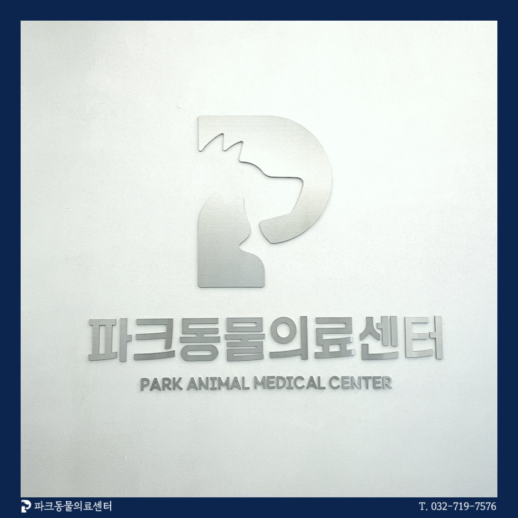 파크동물의료센터 사진 1