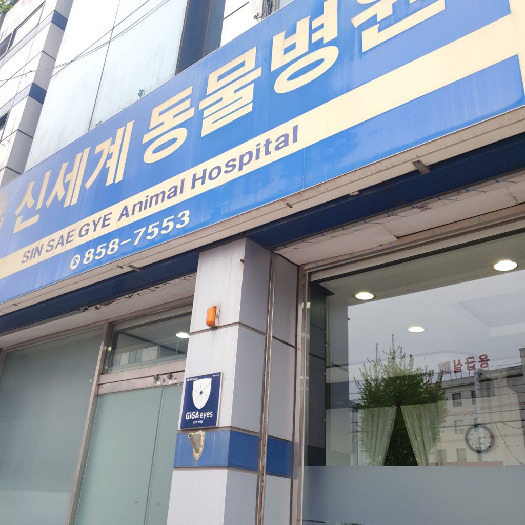신세계동물병원 사진 1
