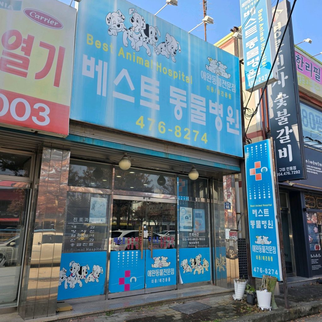 베스트동물병원 사진 1