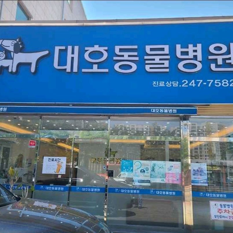 대호동물병원 사진 1