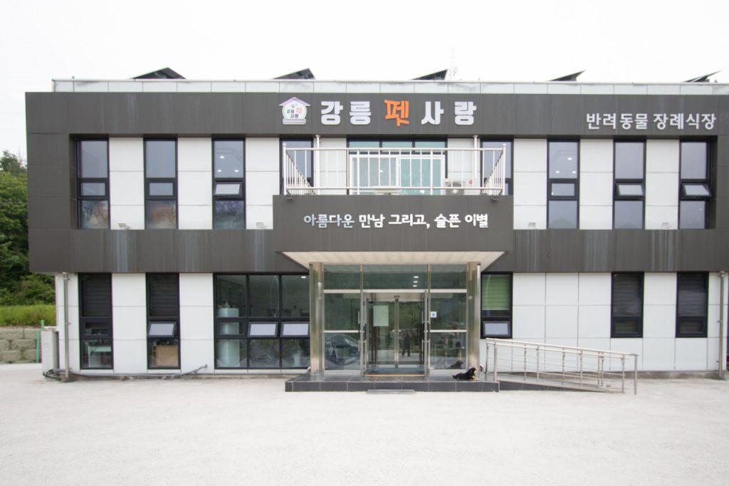 강릉펫사랑 사진 1