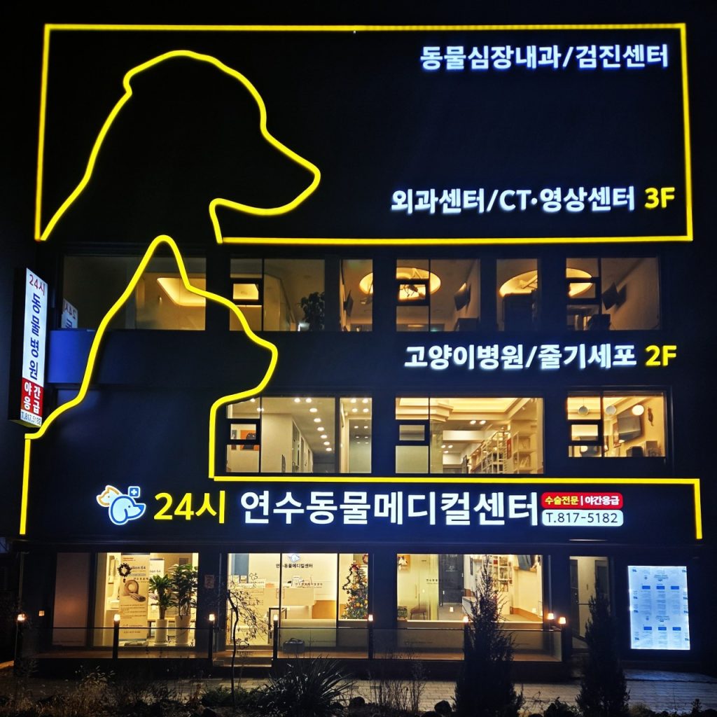 연수동물메디컬센터 사진 1