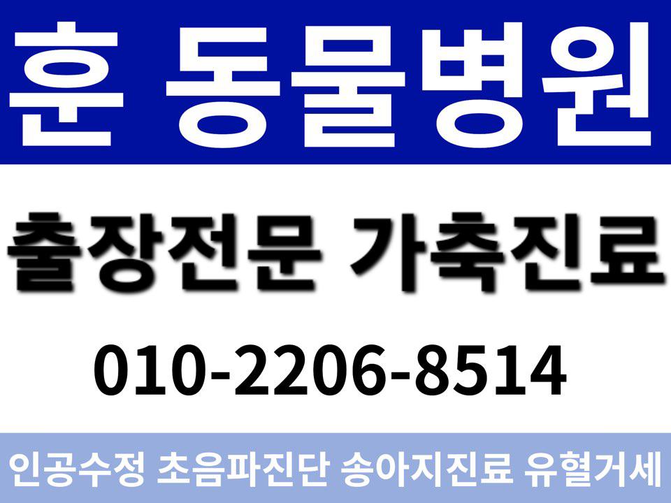 훈동물병원 사진 1