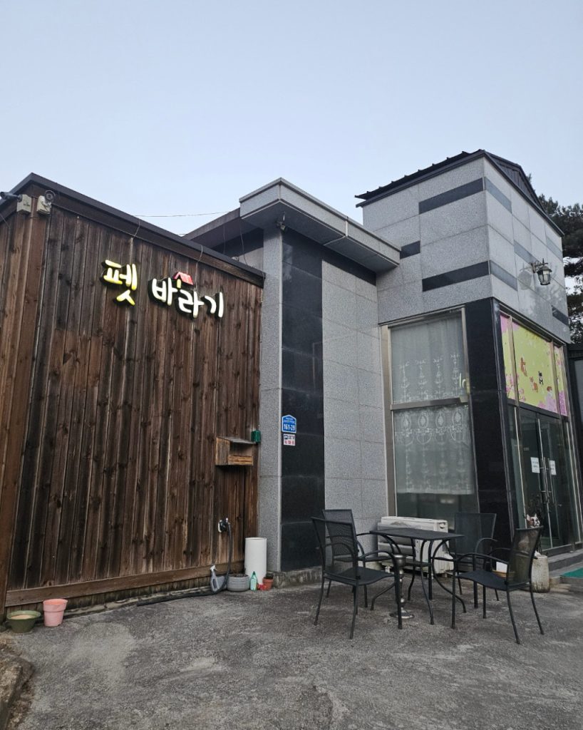 펫바라기 사진 1