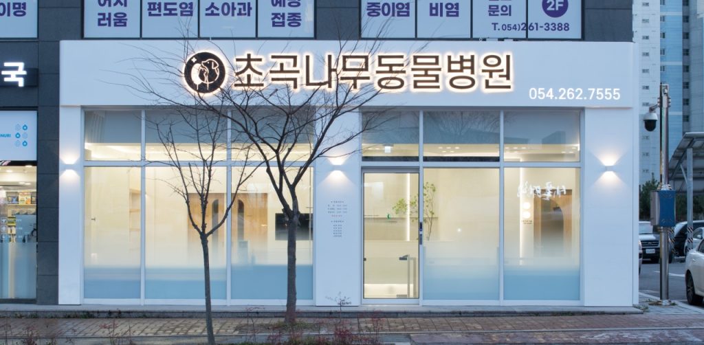 초곡나무동물병원 사진 1