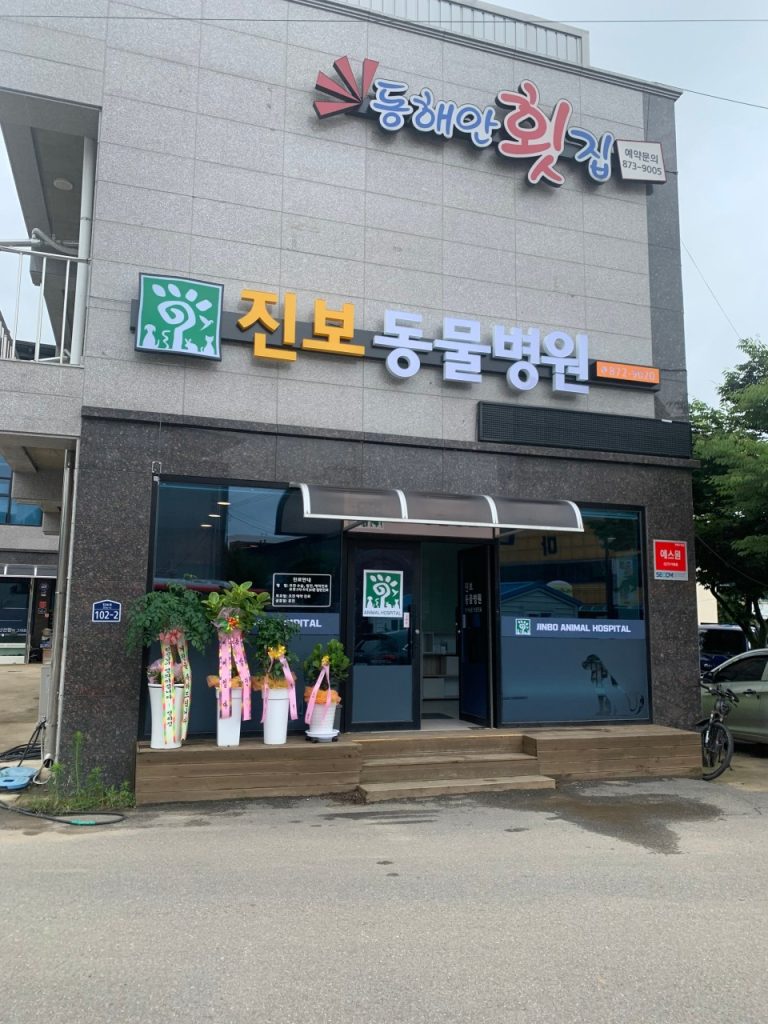 진보동물병원 사진 1