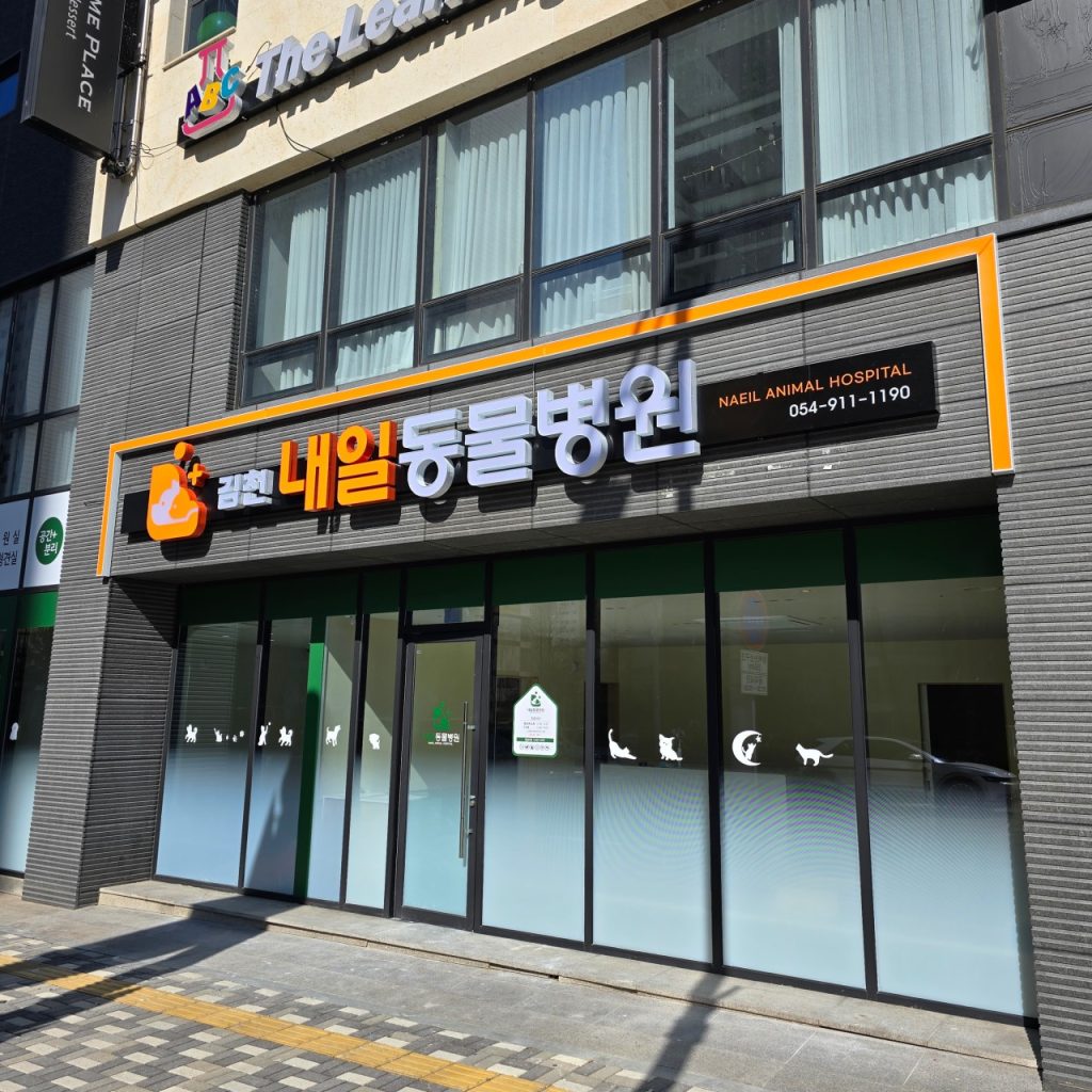 김천내일동물병원 사진 1