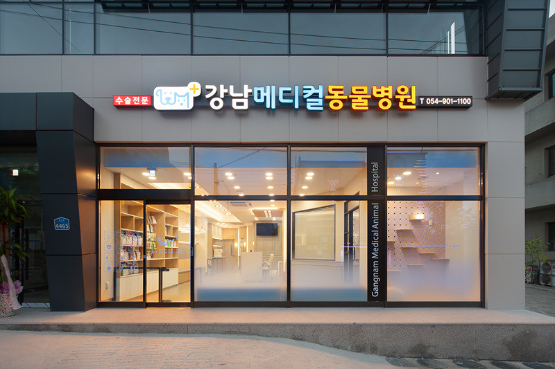 강남메디컬동물병원 사진 1