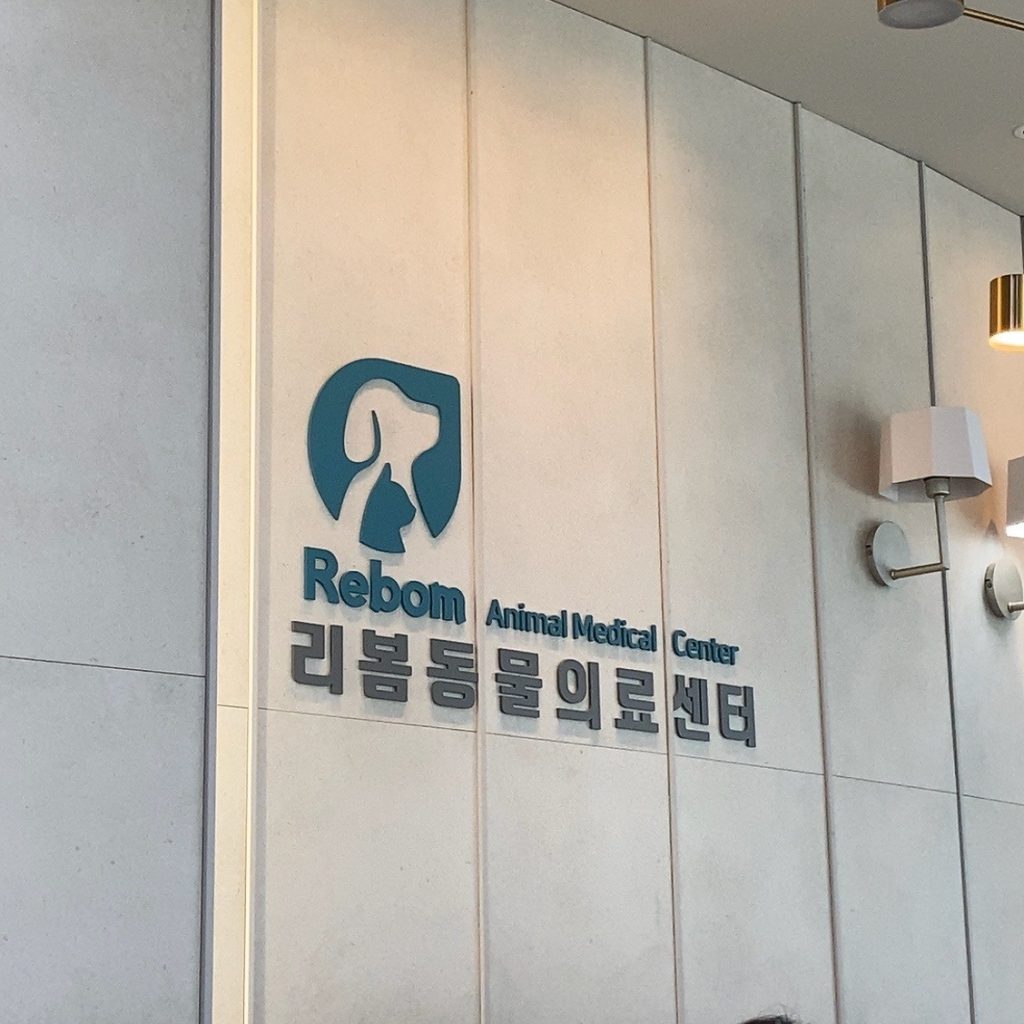 리봄동물의료센터 사진 1