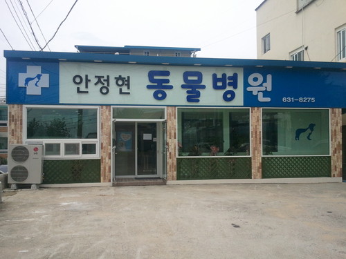 안정현동물병원 사진 1