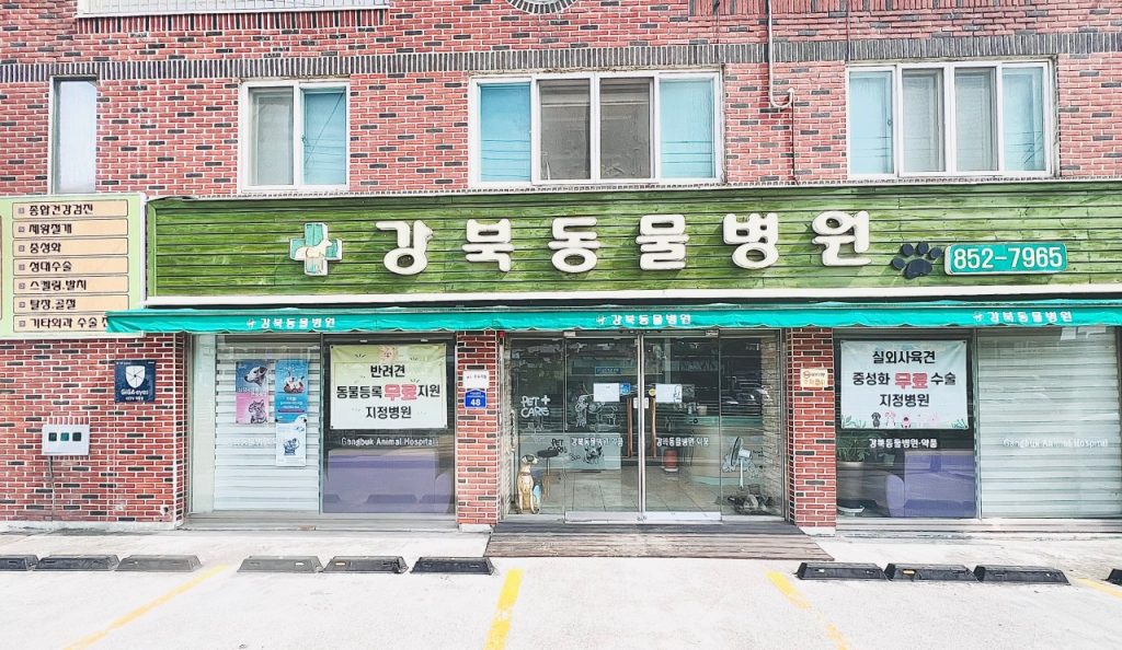 강북동물병원 사진 1